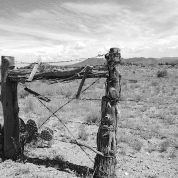 Photo of an old fence in Southwest New Mexico