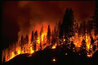 Wildfire Mitigation Data Systems (WMDS) for Western Interconnection