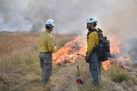 An investigation of Santa Clara County's vegetation management practices for wildfire prevention