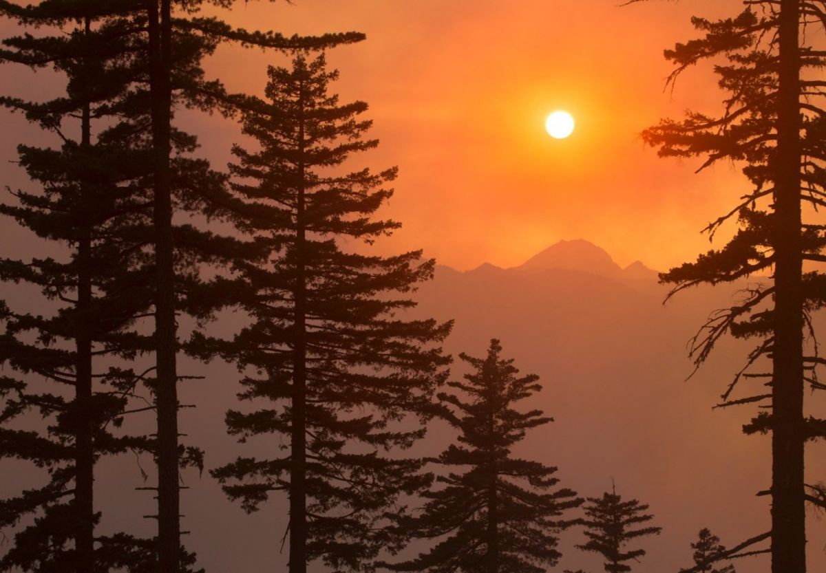 An orange sky filled with wildfire smoke with mountains in the background and dark pine trees in the foreground.