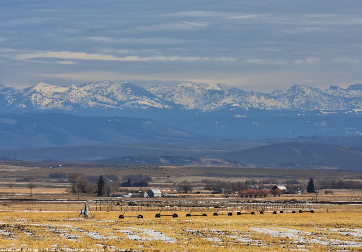 field in foreground, snow on mountains in background. Baker County Oregon.