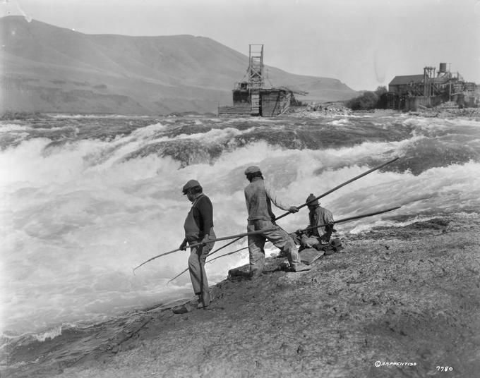 A black and white photo of fishermen spearing salmon on the Columbia River