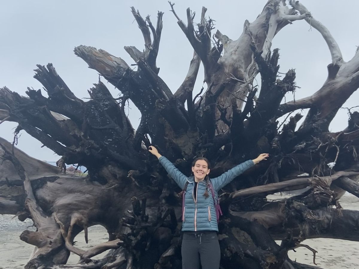 a student stands with arms spread wide in front of massive tree roots
